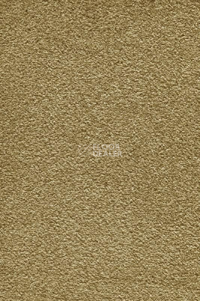 Ковролин AW Masquerade Moana 54 фото 1 | FLOORDEALER